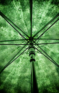 green umbrella with frames thumbnail