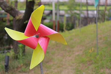 selective focus photography of pink and yellow propeller toy thumbnail