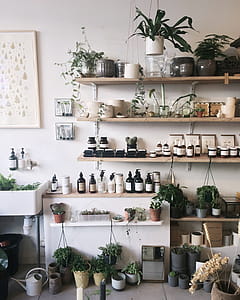 Pots on Beige Wooden Wall Shelf thumbnail
