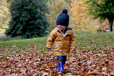boy walking on field full of dried leafs thumbnail