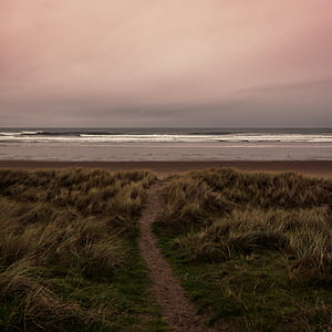 pathway to the beach surrounded by grass during day thumbnail