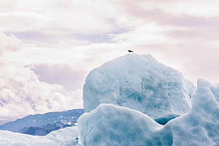 iceberg under white cloudy sky during day thumbnail