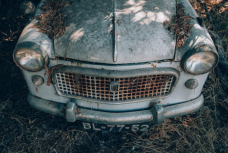 vintage gray car on grass thumbnail