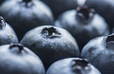 Close Up Photography of Blueberries thumbnail