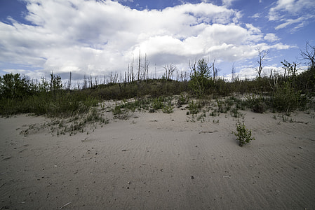 Clouds over the Sand dunes at Lesser Slave Lake Provincial Park thumbnail