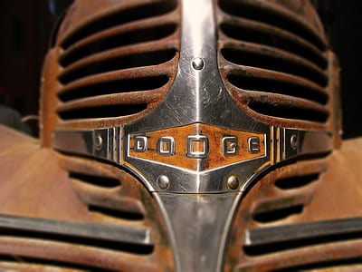 closeup photo of brown and silver Dodge emblem thumbnail