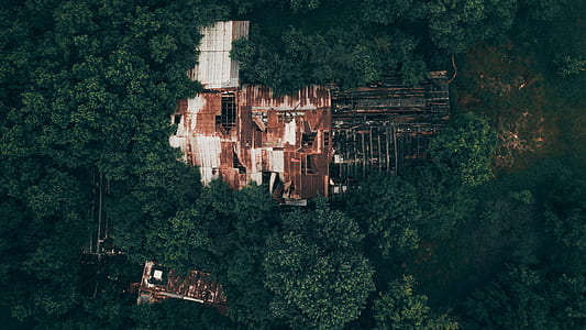 aerial view of abandoned building in forest thumbnail