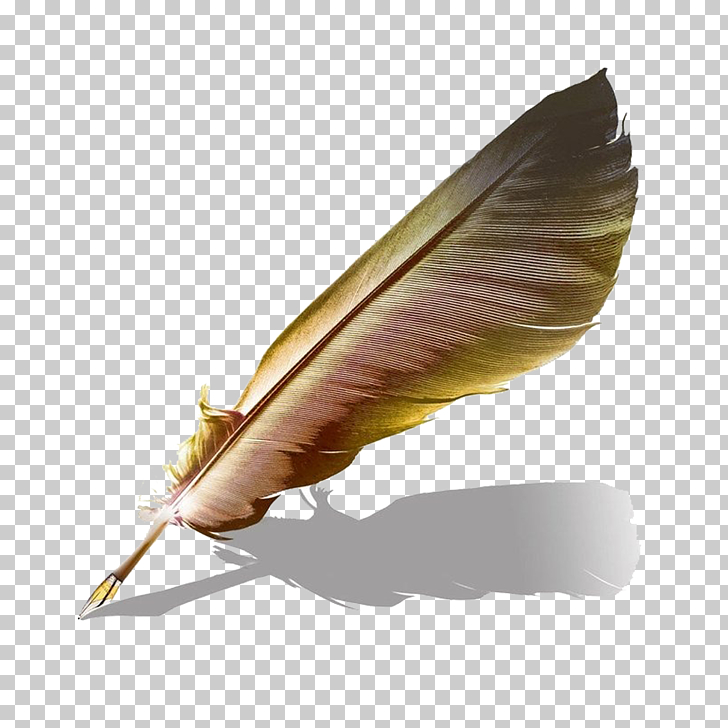 Quill Book Paper Ink, pen, gold and brown feather illustration PNG clipart
