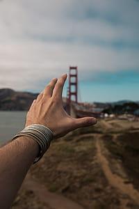 shallow focus photography of person's left hand thumbnail