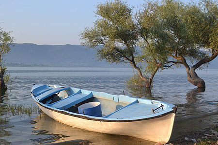 white and blue canoe on water near green leaf tree during daytime photo thumbnail