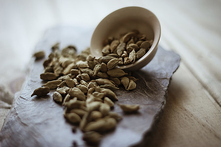 selective focus photography of seeds thumbnail