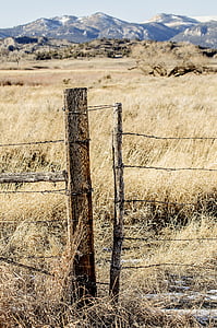 brown wooden pole on grass field thumbnail