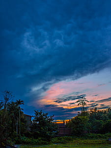 Green Leaf Trees Under Cumulus Clouds during Golden Hour thumbnail
