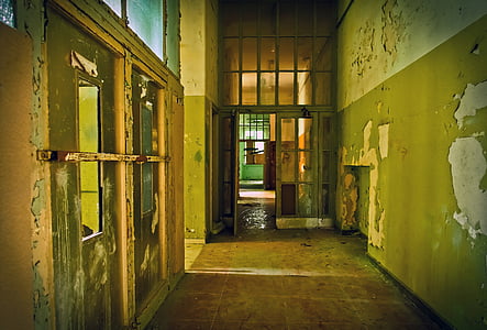 photo of green and beige hallway thumbnail