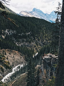 pine trees and mountains during daytime thumbnail