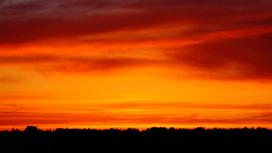 golden hour thumbnail