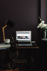 Contemporary home office idea with dark walls thumbnail