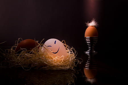 white and brown egg on nest thumbnail