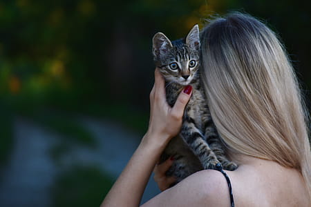 Woman Carrying Tabby Kitten thumbnail