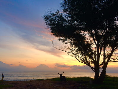 dawn, landscape, nature, sky thumbnail
