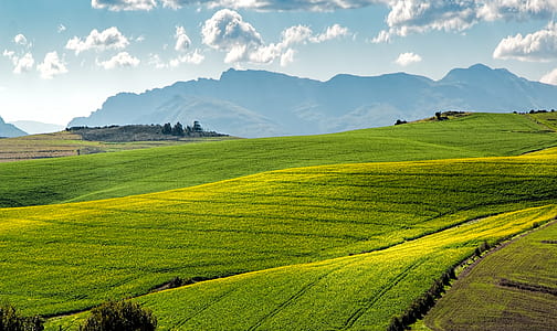 landscape, nature, sky, field thumbnail