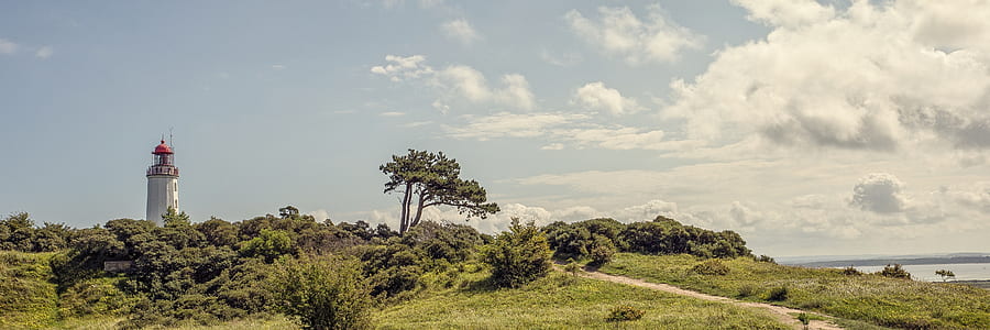 white lighthouse near trees thumbnail