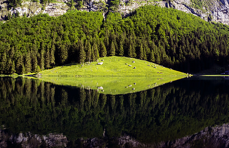 water reflect photography of hill thumbnail