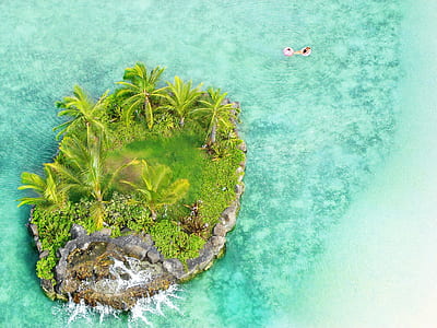 aerial shot of green leafed trees in the middle of body of water thumbnail