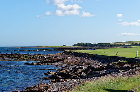body of water beside open field at daytime thumbnail
