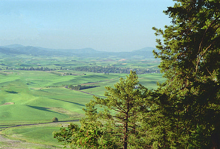 Palouse from Kamiak Butte in Washington thumbnail
