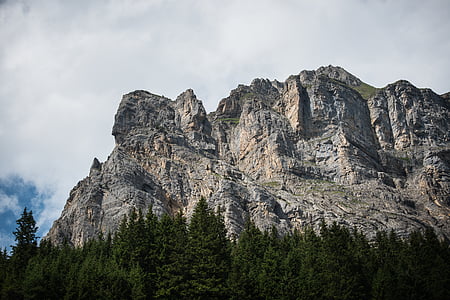 trees near mountain during daytime thumbnail