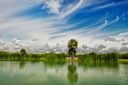 body of water near trees under cloudy sky at daytime thumbnail