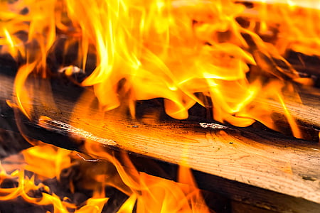close up photo of wood fire thumbnail