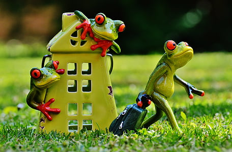 selective focus of three frogs figurine on green grass at daytime thumbnail