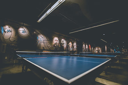 blue and white ping-pong table thumbnail