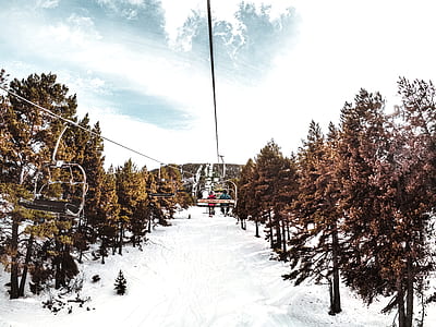 two people on ski lift near trees thumbnail