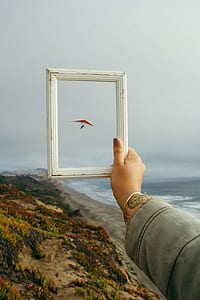 person holding white photo frame facing person gliding thumbnail