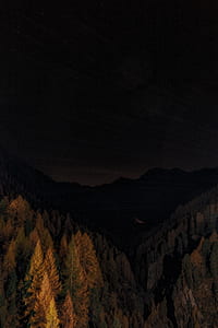 trees and mountain at nighttime photo thumbnail