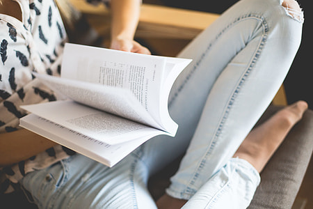 Woman Reading a Book thumbnail