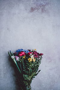 bouquet of red, yellow, and blue petaled flowers thumbnail