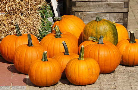 orange squash lot during daytime thumbnail