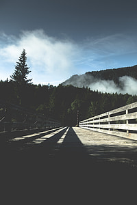 grayscale photography of brown wooden bridge under blue sky thumbnail