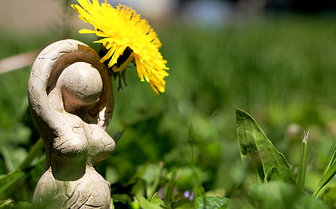 depth of field photography of yellow dandelion in full bloom thumbnail