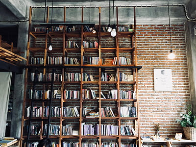 assorted-title book lot on rack thumbnail