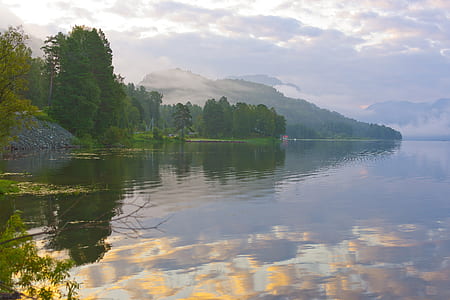 body of water near forest thumbnail