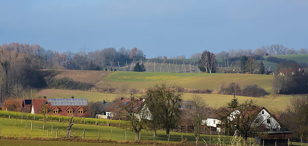 brown houses on vase lawn during daytime thumbnail