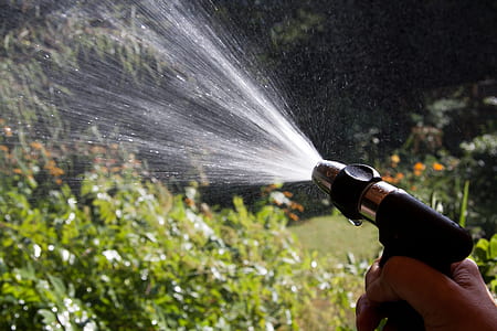 person using water spray near leaves during day thumbnail