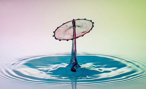 shallow focus photography of water drop thumbnail