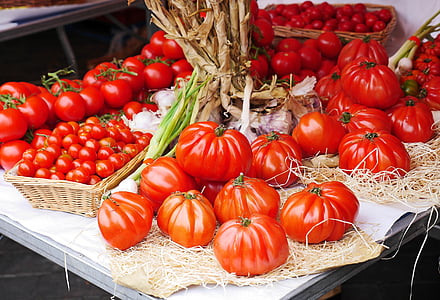 red tomatoes thumbnail