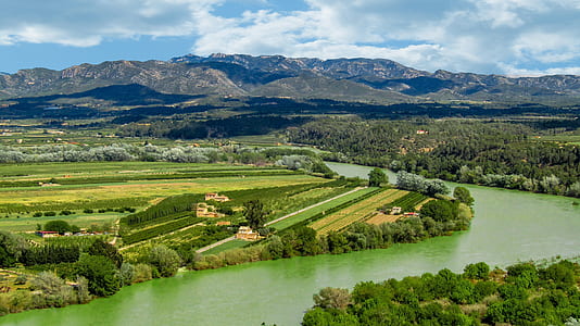 aerial photography of green lake thumbnail